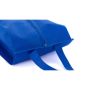 Recco Shoe Bag