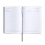 Pico Daily A5 Planner, Pico, hardback paper cover