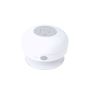Rariax Loudspeaker