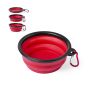 Baloyn Collapsible Bowl