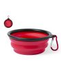 Baloyn Collapsible Bowl