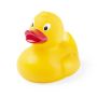 Koldy Duck