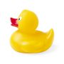 Koldy Duck