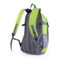 Densul Backpack