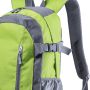 Densul Backpack