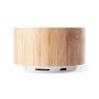 Denzel Loudspeaker