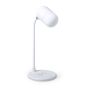 Lerex Multifunction Lamp