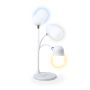Lerex Multifunction Lamp