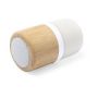 Kevil Loudspeaker
