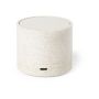 Cayren Loudspeaker