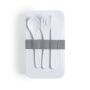 Fandex Antibacterial Lunchbox