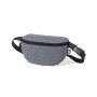 Parks Waist Bag