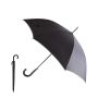 Campbell's Umbrella Tree