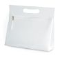 Transparent toiletry bag
