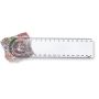 Ruler with magnifier and protractor
