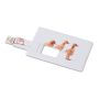 Credit card USB flash drive 32GB