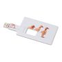 Credit card. USB flash drive 4GB