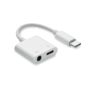 Multifunctional Type-C Jack Adapter
