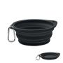 Portable pet bowl