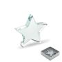 Glass Star Award