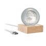 Glass ball with LED globe
