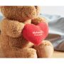 Teddy bear with heart