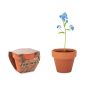 Terracotta vase 'myosotis'