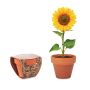 Terracotta vase 'sunflower'