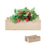 Strawberry kit wooden box
