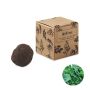 Herb seed kit