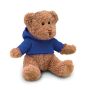 Teddy bear with t-shirt