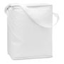 Thermal bottle bag