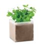 Mint Seed Mix
