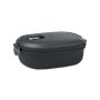 PP Lunchbox with airtight lid