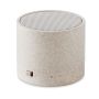 Wireless speaker
