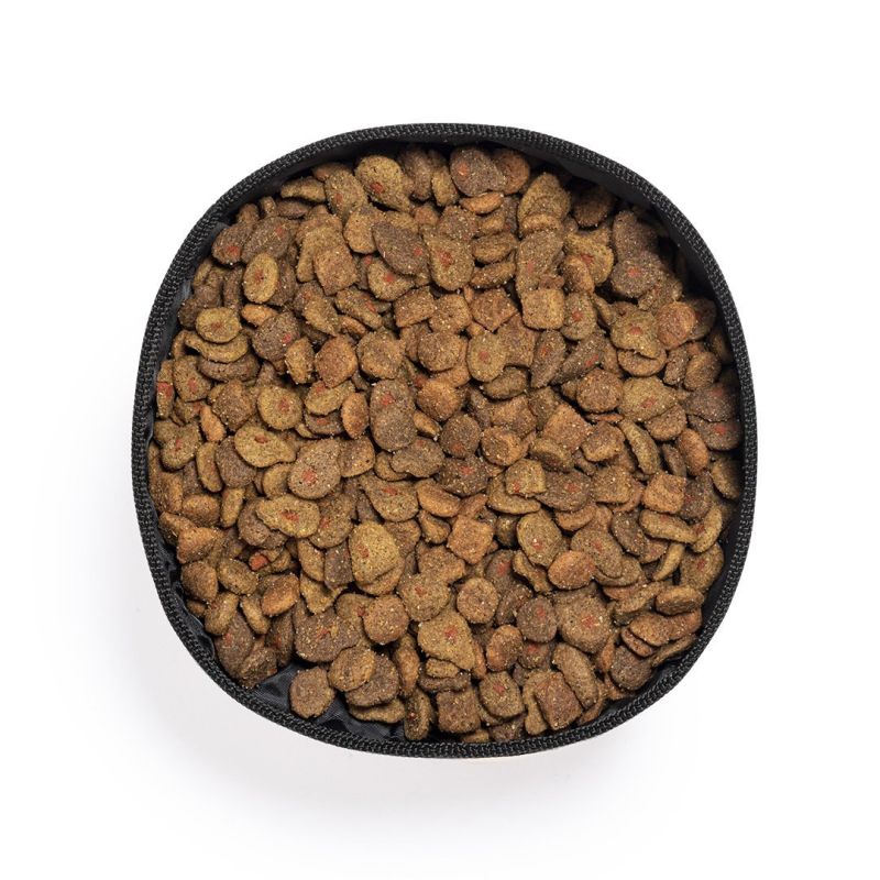 Poppy Collapsible Bowl