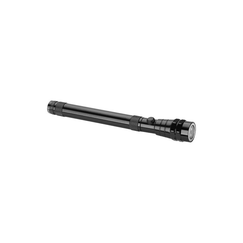 "Magnetica" reacher with light