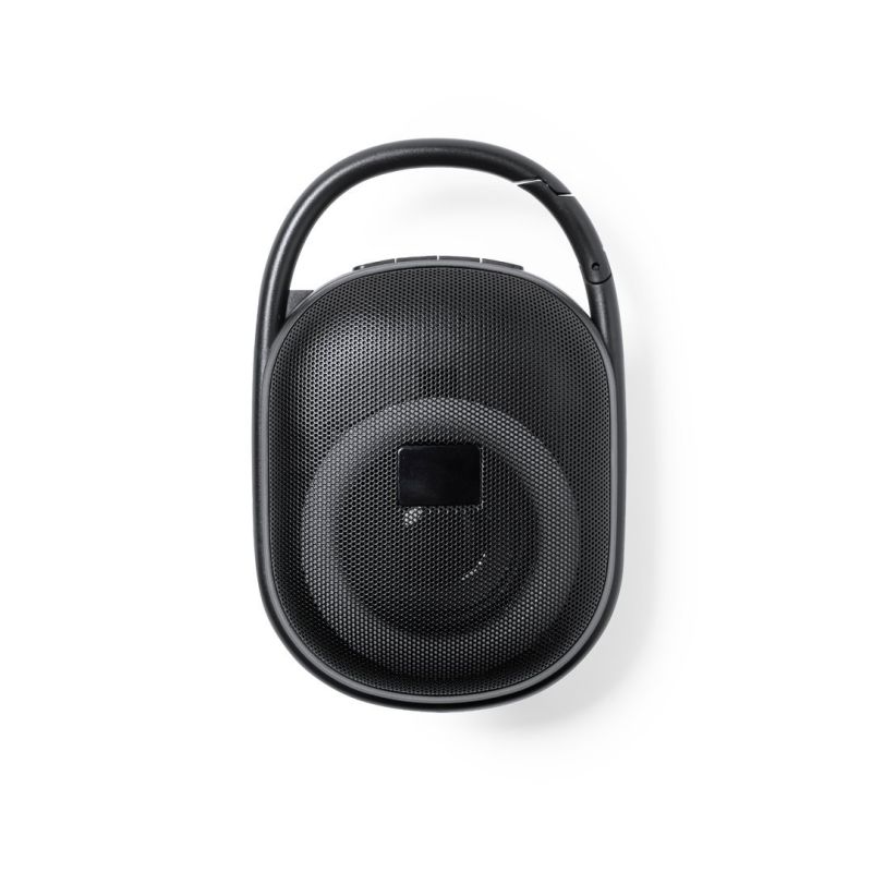 Walen Loudspeaker