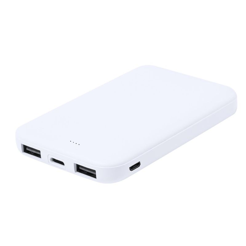 Power Bank Model RCS