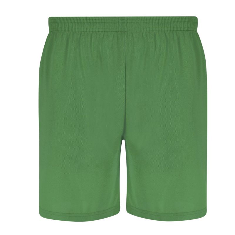 Rudig Shorts