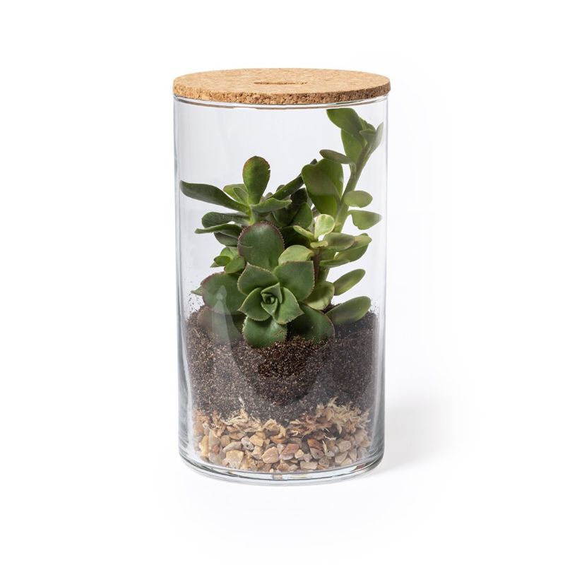 Terrarium Animator