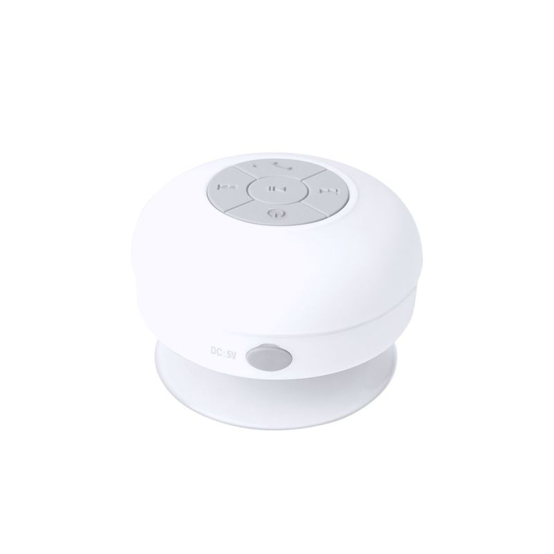Rariax Loudspeaker