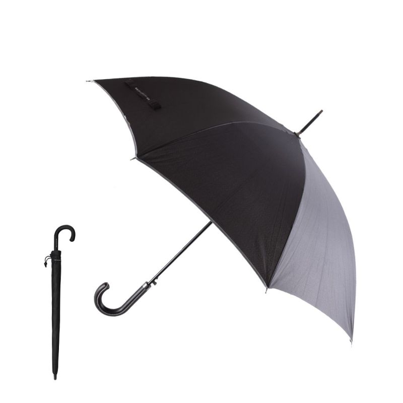 Campbell's Umbrella Tree