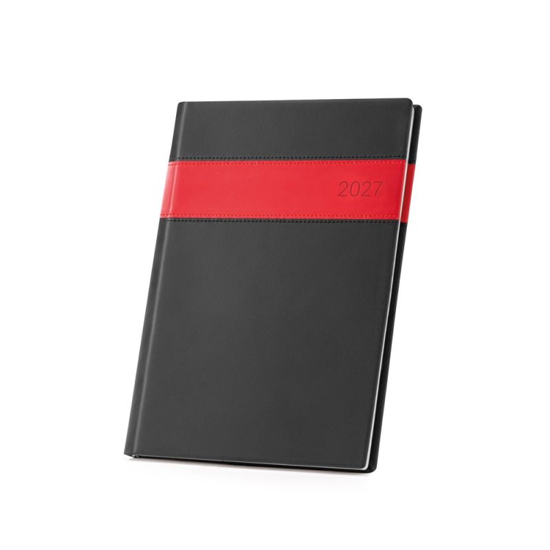 ALLENDE B5 B5 Diary