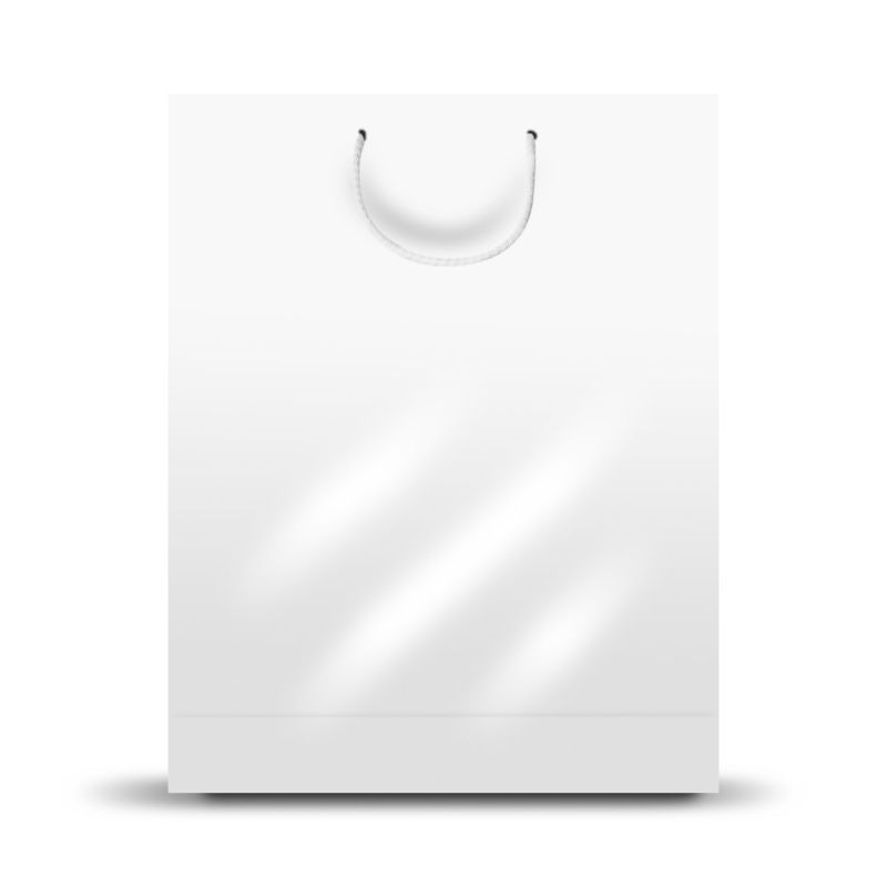 GrandBag Large Paper Sack, Vertical, Shiny