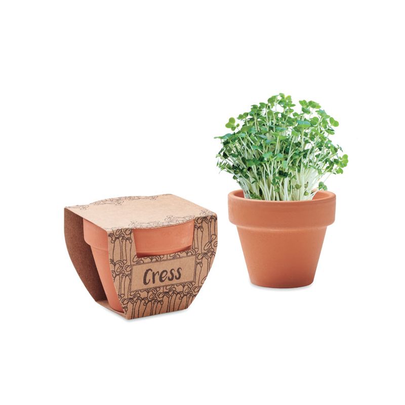 Cress seeds in a pot