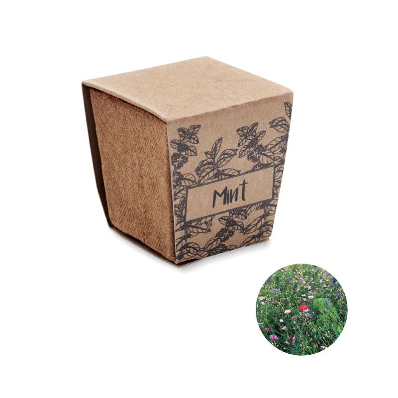 Mint seed growing kit