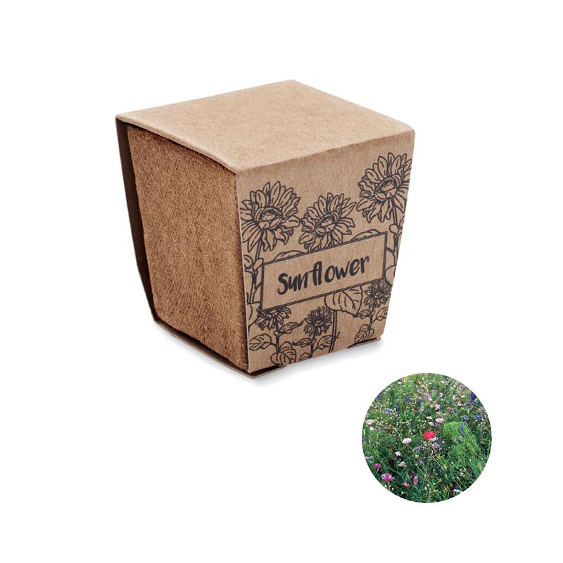 Sunflower growing kit