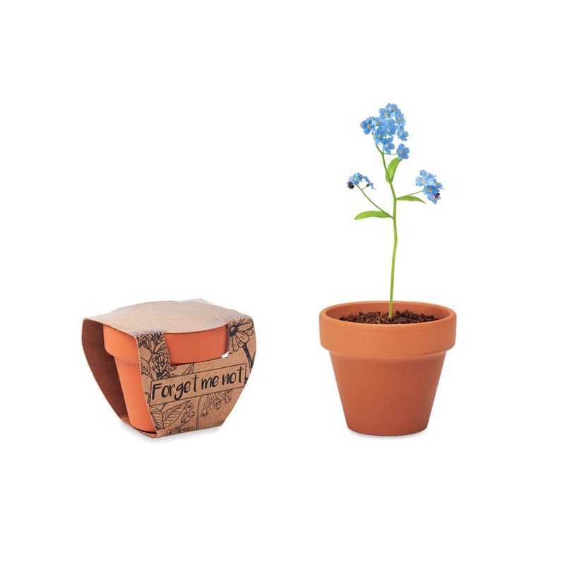 Terracotta vase 'myosotis'