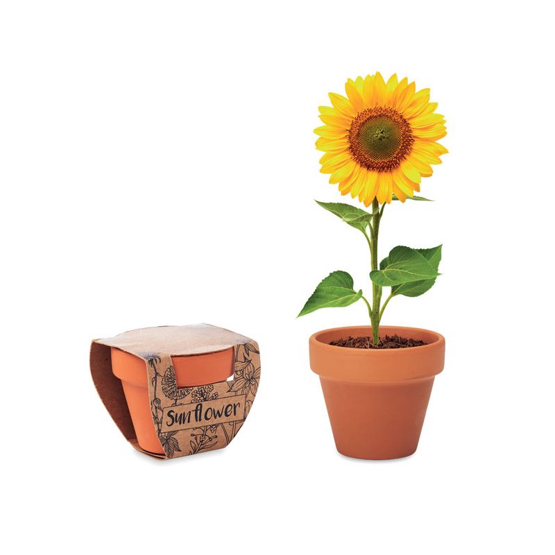 Terracotta vase 'sunflower'